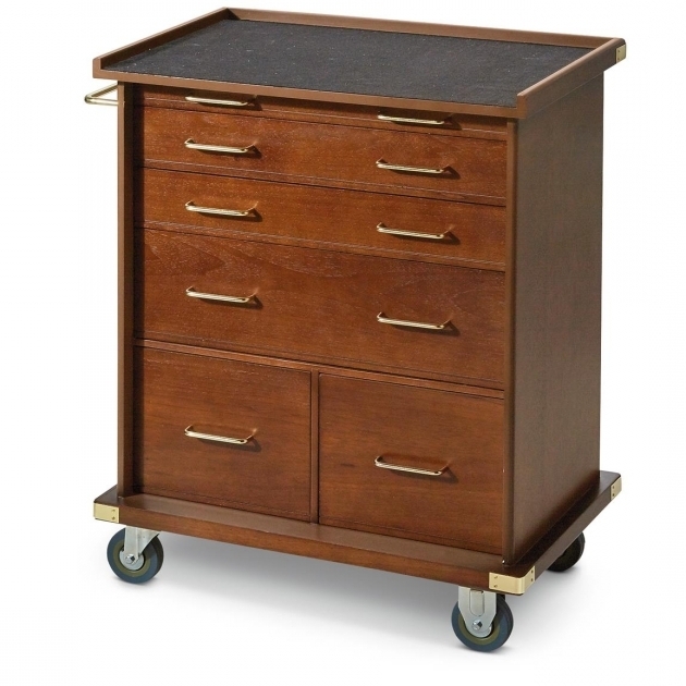 Rolling Storage Cabinet With Drawers - Storage Designs