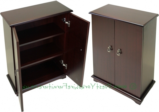 Best Oak Dvd Storage Cabinet With Doors Creative Cabinets Decoration Blu Ray Storage Cabinet