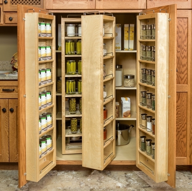Stylish Kitchen Storage Cabinets With Doors And Shelves Creative Food Storage Cabinet With Doors
