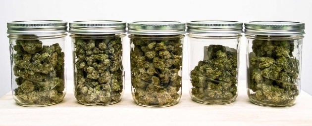 Fascinating 8 Important Dos And Donts Of Storing Weed Best Weed Storage Containers