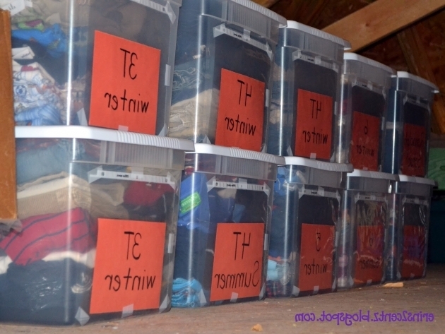 Fascinating Airtight Clothing Storage Bins Waterproof Storage Containers Clothing Storage Bins