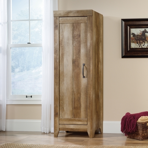 Stylish Narrow Storage Cabinet With Doors Creative Cabinets Decoration Tall Skinny Storage Cabinets