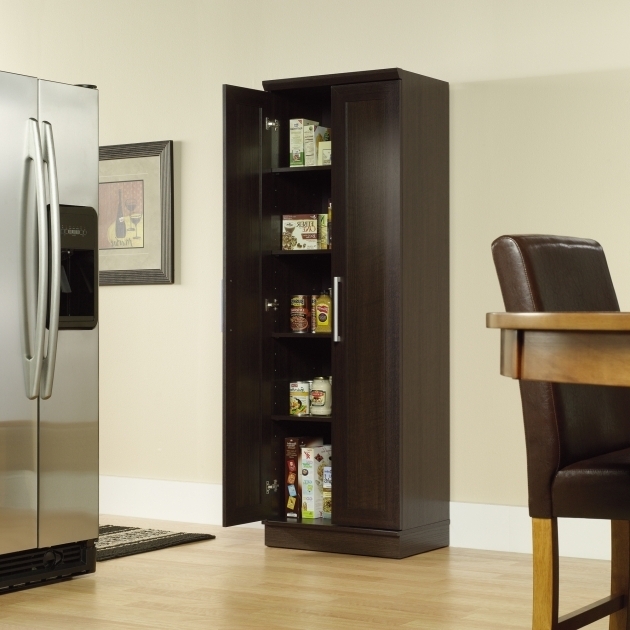 Best Sauder Beginnings Storage Cabinet With Four Adjustable Shelves Sauder Beginnings Storage Cabinet