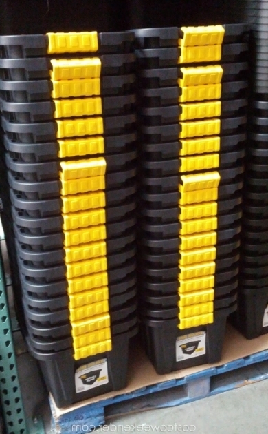 Stunning Costco Storage Bins Pilotproject Costco Storage Containers
