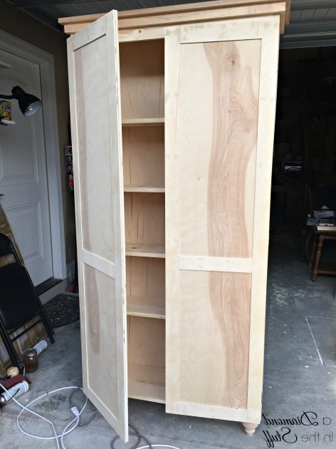 Stylish How To Build A Storage Cabinet With Doors Creative Cabinets How To Build Storage Cabinets